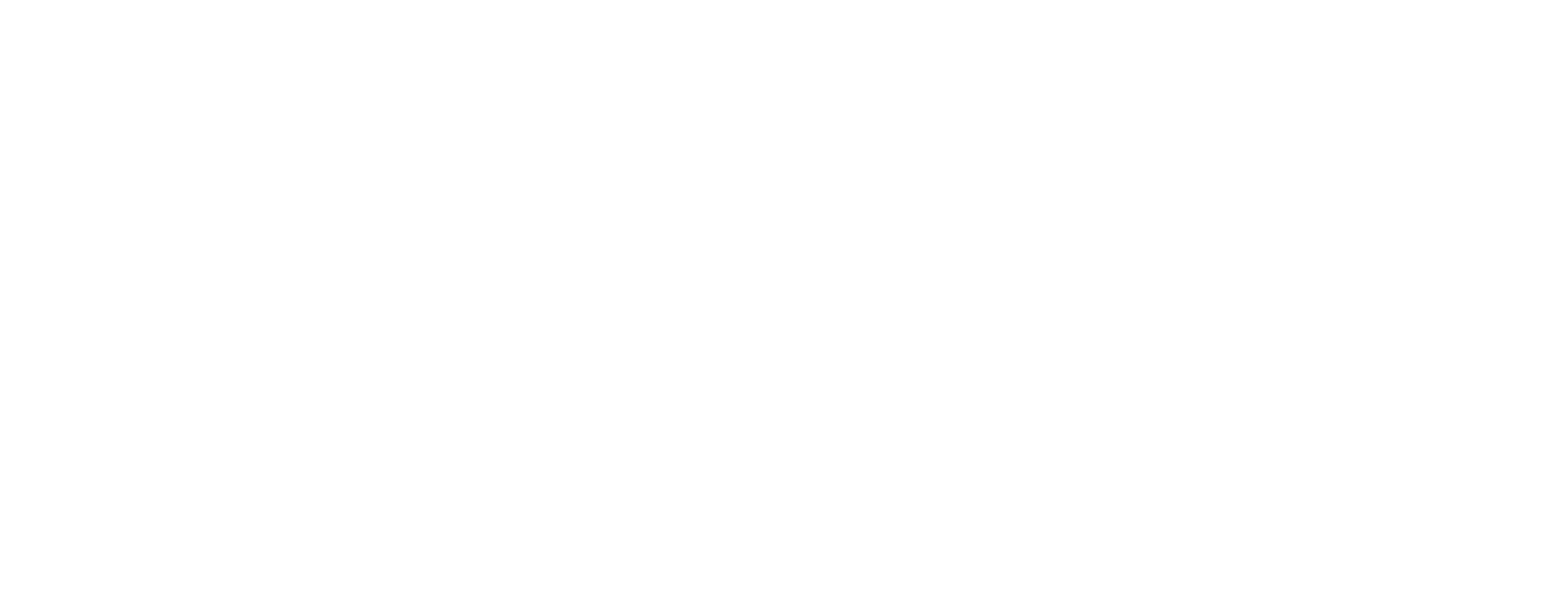 AVIZO